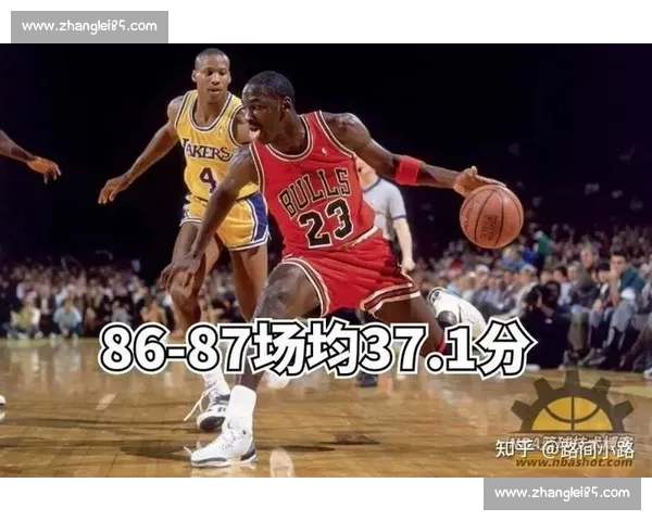 全面解析体育官网入口使用指南及最新功能更新详解